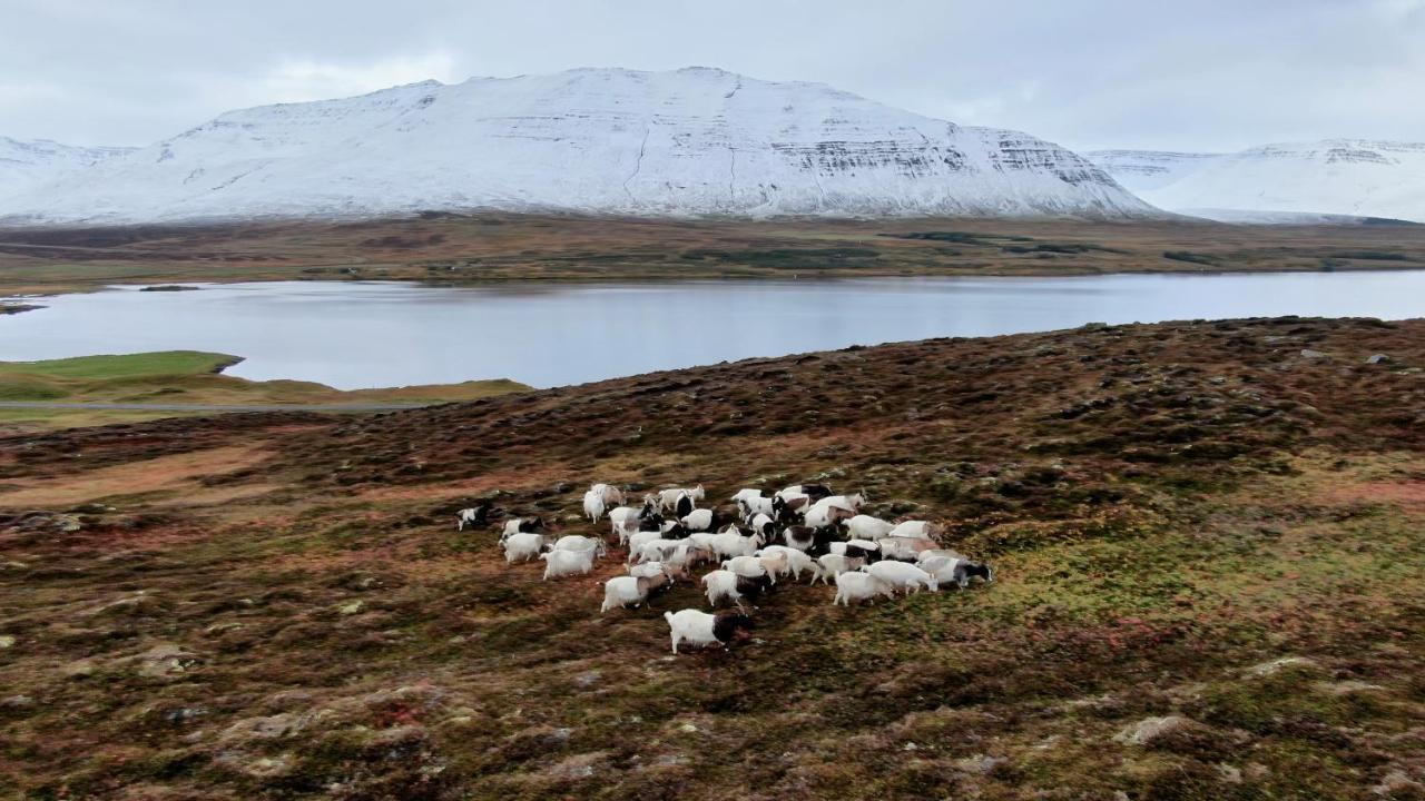 Brunastathir Holiday Home Barð Eksteriør bilde